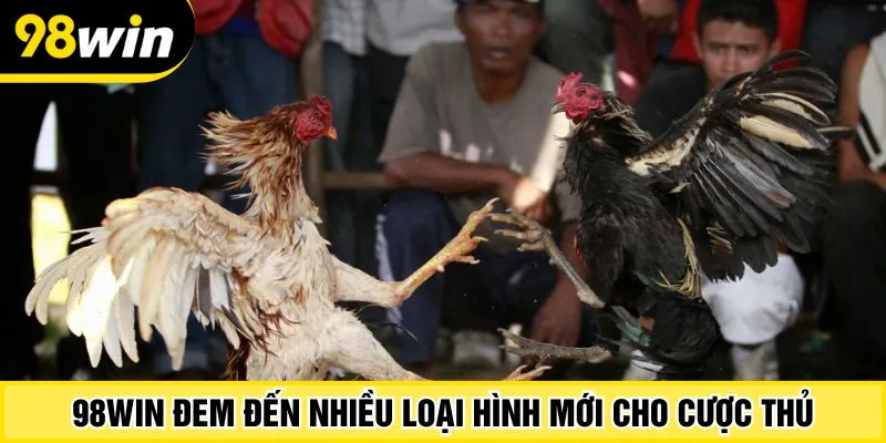 98WIN đem đến nhiều loại hình mới cho cược thủ