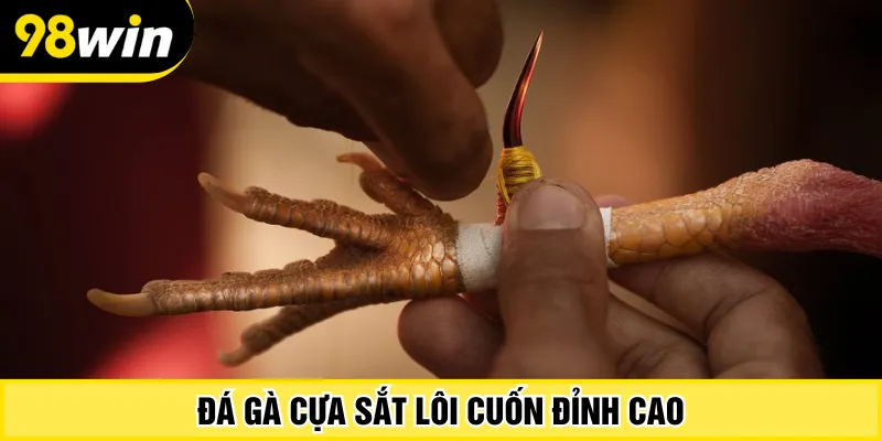 Đá gà cựa sắt