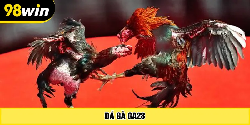Đá gà GA28