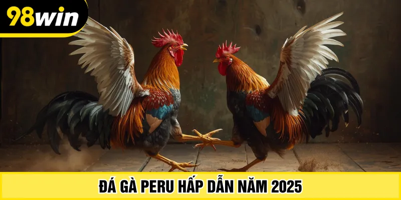 Đá gà Peru