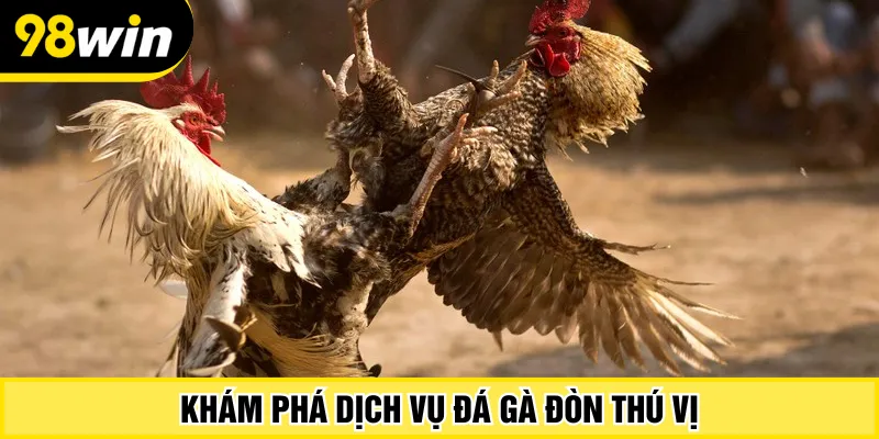 Khám phá dịch vụ đá gà đòn thú vị