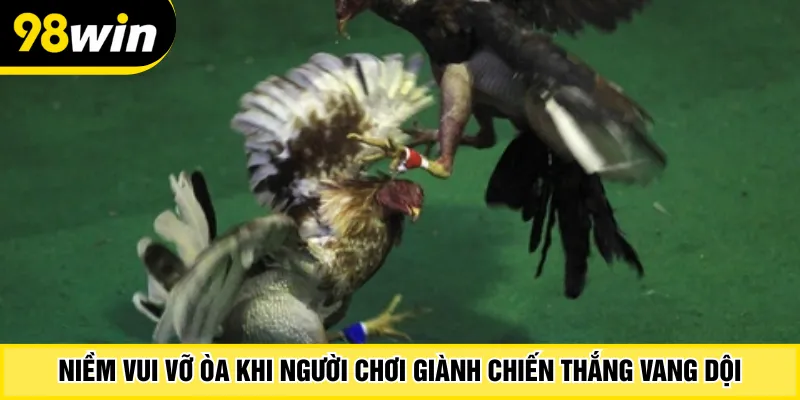 Niềm vui vỡ òa khi người chơi giành chiến thắng vang dội