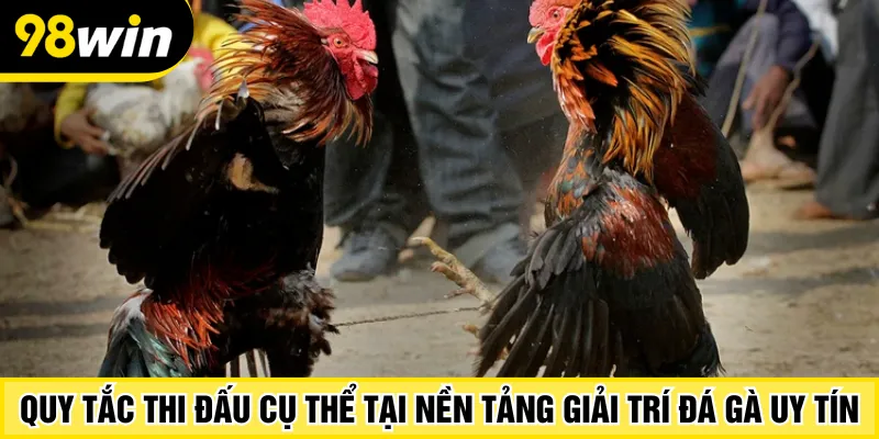 Quy tắc thi đấu cụ thể tại nền tảng giải trí đá gà uy tín