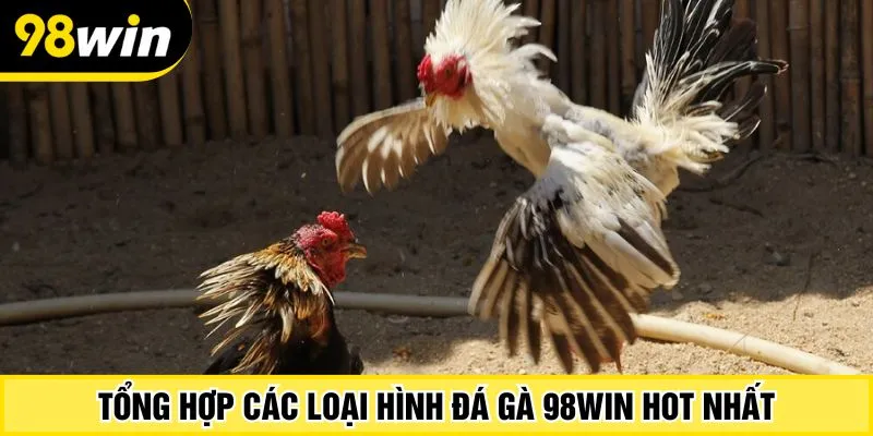 Tổng hợp các loại hình đá gà 98Win hot nhất