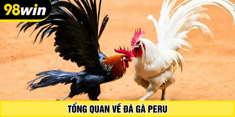Tổng quan về đá gà Peru